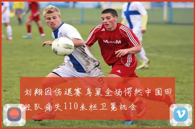 刘翔因伤退赛鸟巢全场愕然中国田径队痛失110米栏卫冕机会