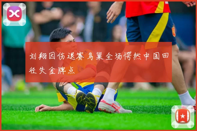 刘翔因伤退赛鸟巢全场愕然中国田径失金牌点